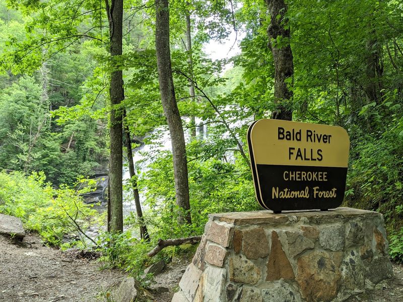 Accessibility That Changes Who Gets To Experience Nature