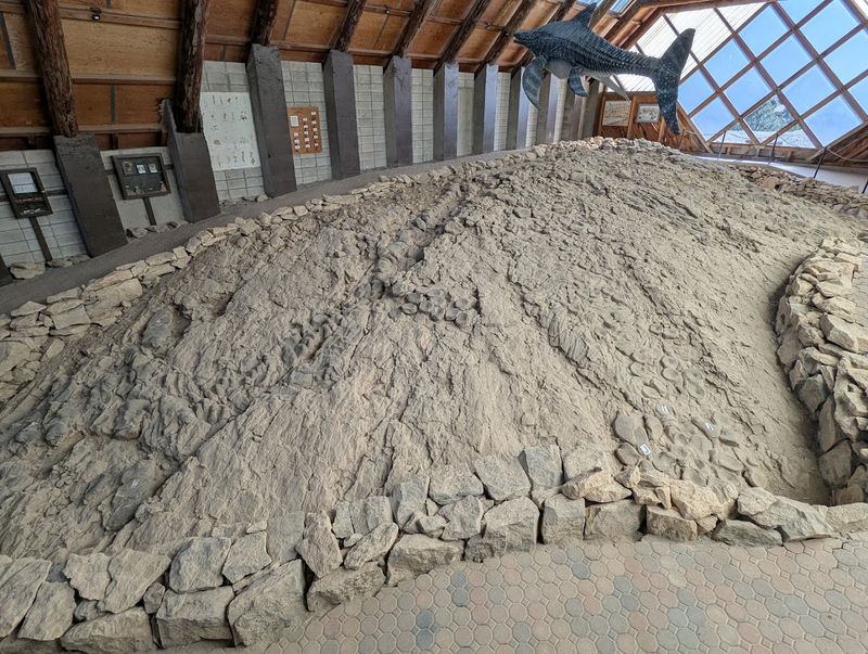 The Ancient Sea Monsters Were Ichthyosaurs, Not Dinosaurs