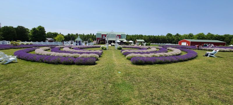 Washington Island Turns The Farm Visit Into A Day Trip