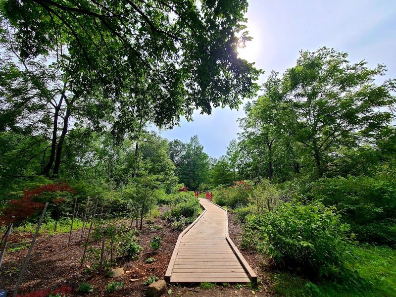 Three Trails That Each Tell A Different Story