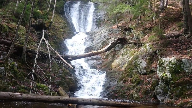 Practical Tips For A Smooth Visit To Tannery Falls