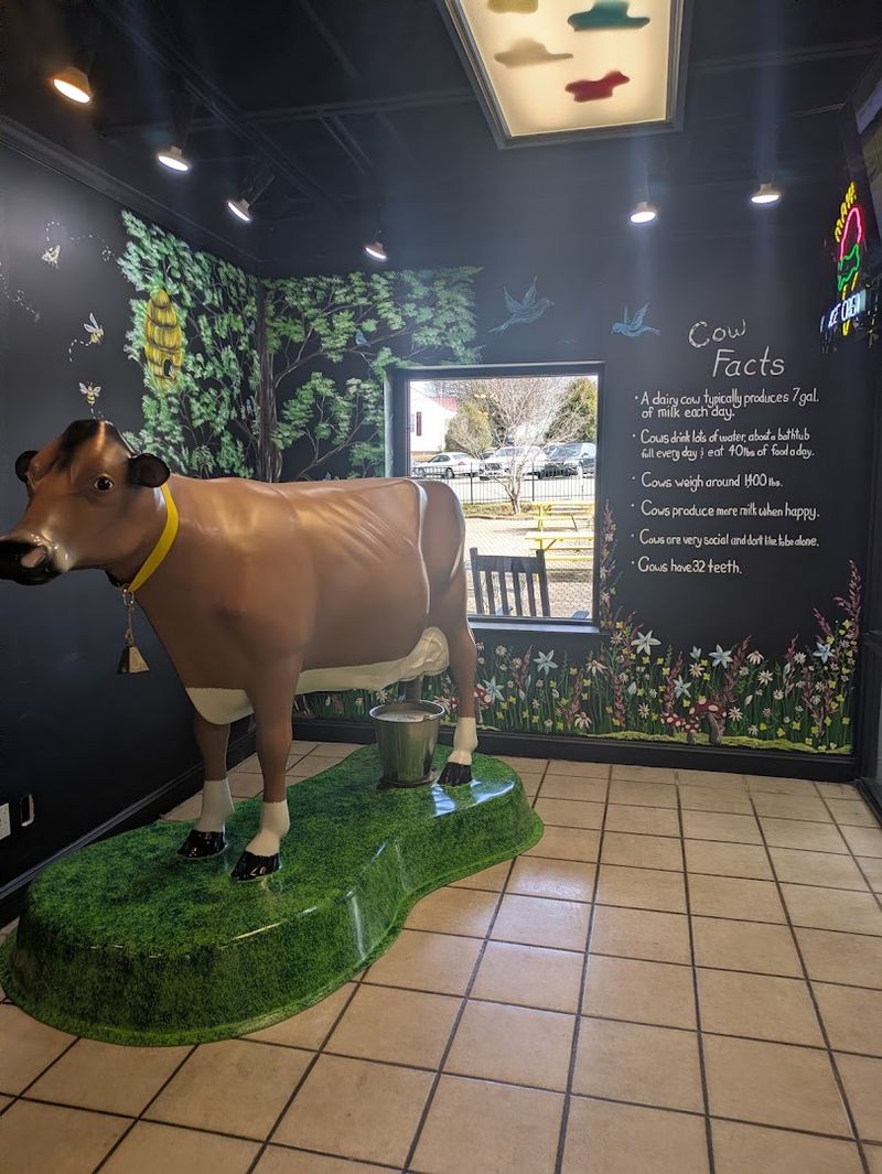 Maggie The Cow And The Mascot Behind The Brand