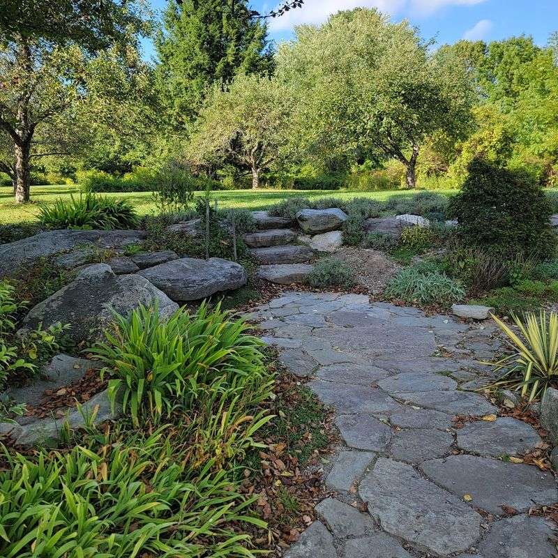 Forest Stones: An Art Installation That Surprises You Mid-Walk