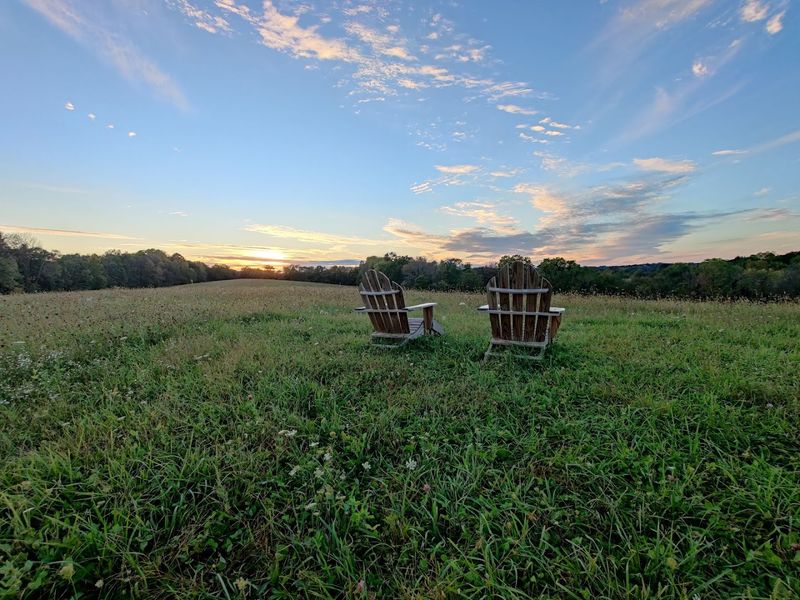 Private Trails, Open Meadows, And Quiet Woodland Views