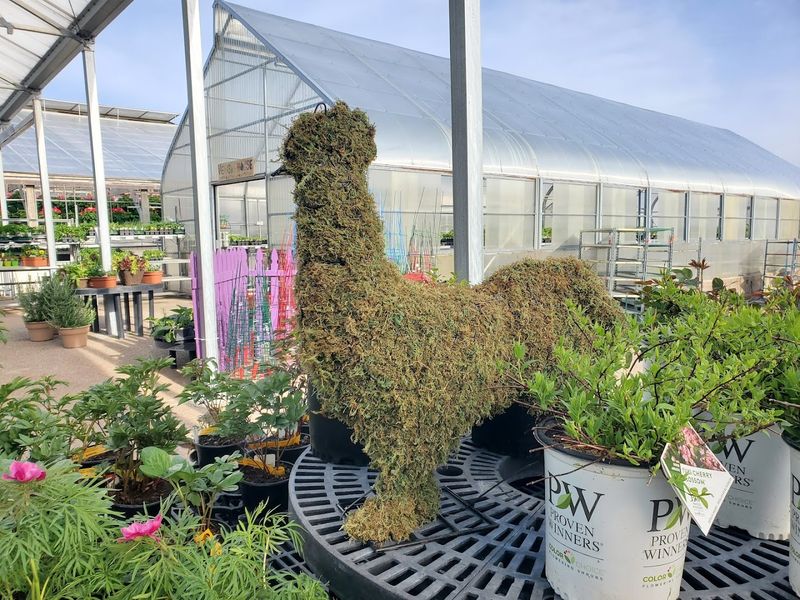 A Local Garden Centre With A Big Personality