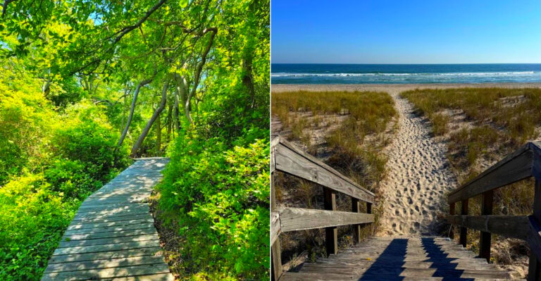 The Hidden 2.5-Mile Trail In New York That Leads To An Enchanting Forest And A Secret Beach