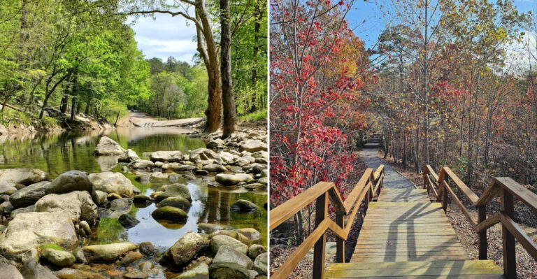 The Hidden  2,000-Acre Alabama State Park You’ve Probably Never Heard Of