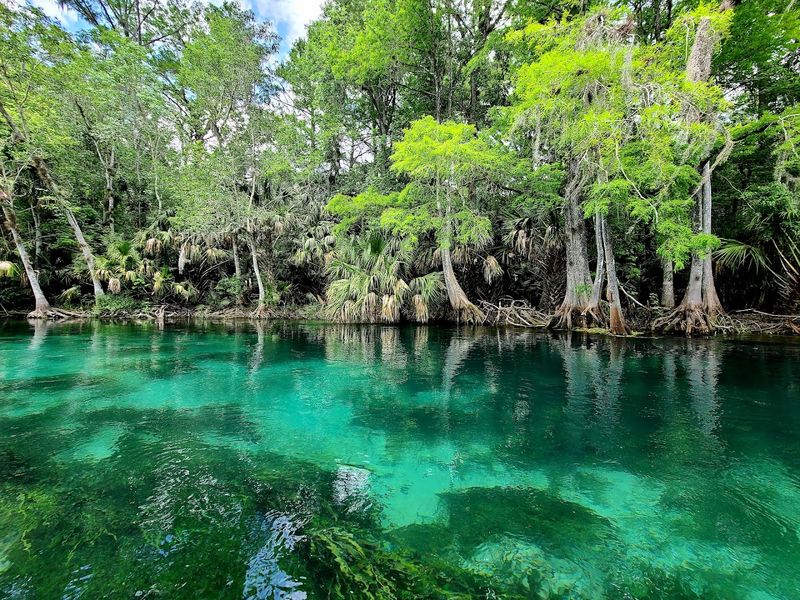 Unique Ecosystems Supported By Crystal Clear Waters