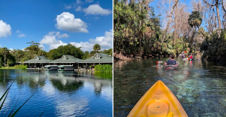 The Hidden Florida River With Waters So Transparent They Make Every Other River Look Cloudy
