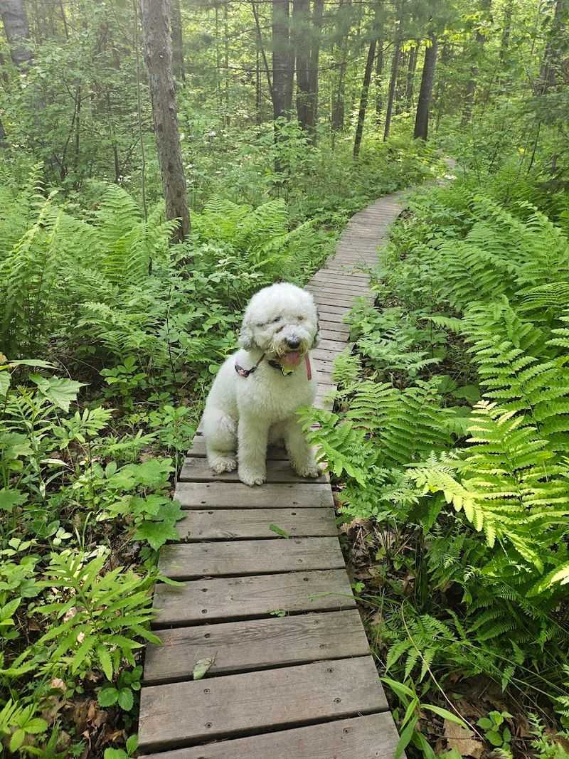 Boardwalks And Gravel Sections Help Make The Route Easier To Follow