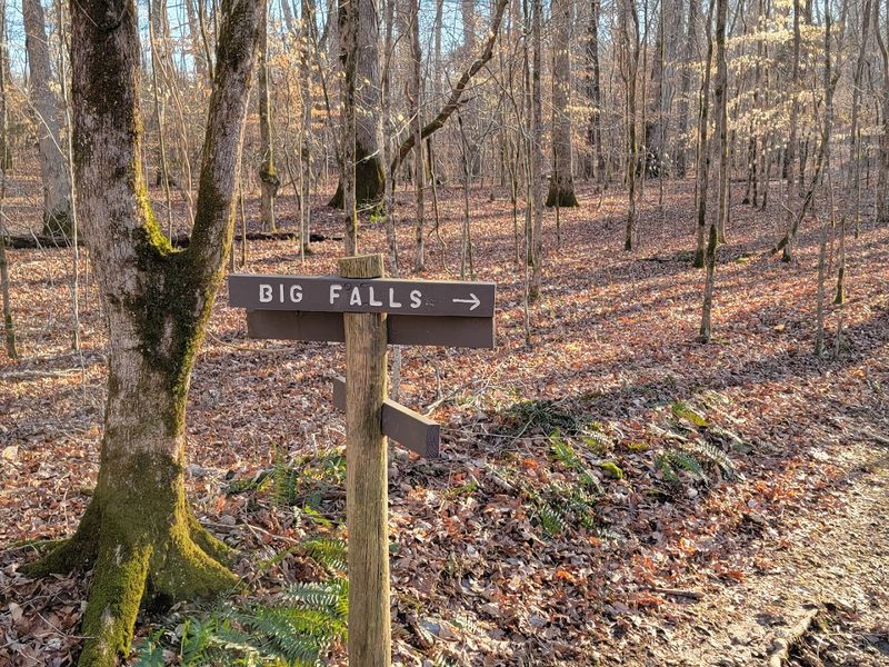 How To Get There And What To Know Before You Go