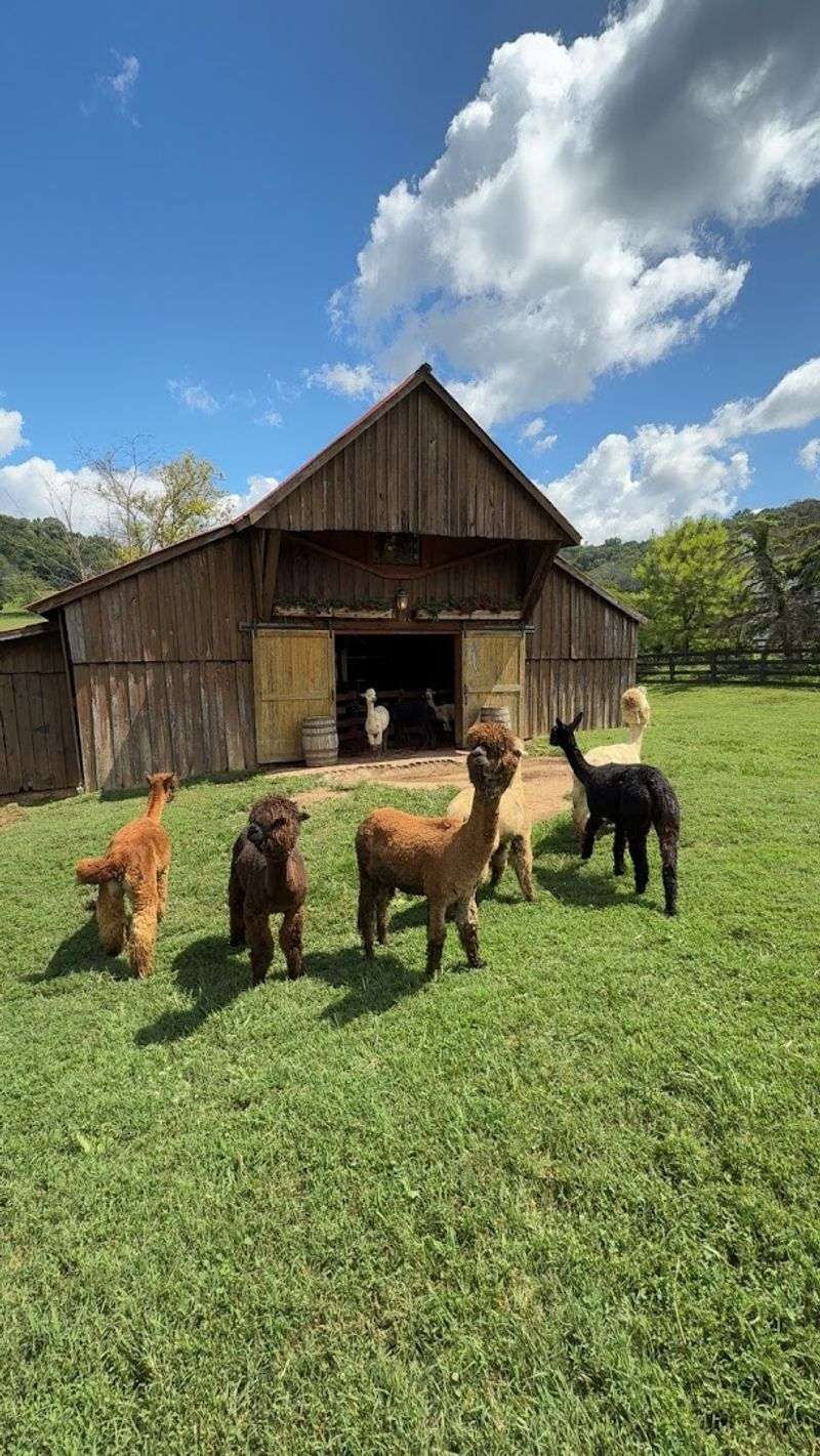 Why Booking By Appointment Makes This Farm Visit Feel Truly Special