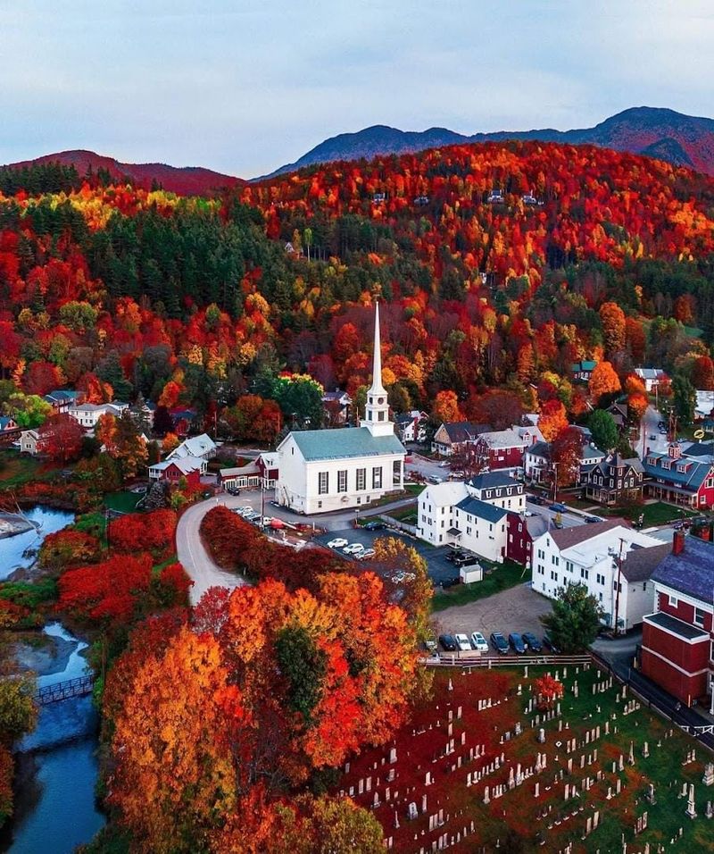 Flora And Fauna Unique To Vermont Woodlands