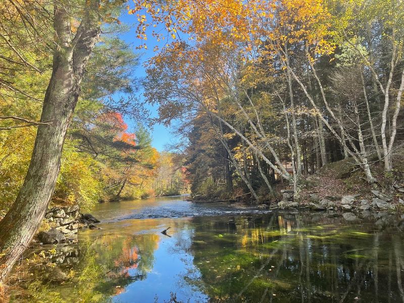 The Fall Foliage Is Absolutely Unreal