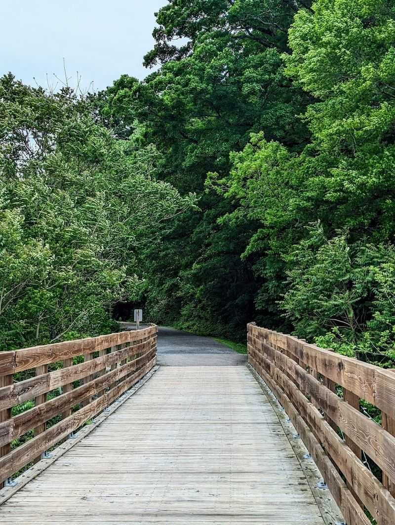 Elizabethton And The Trail's Southern Terminus