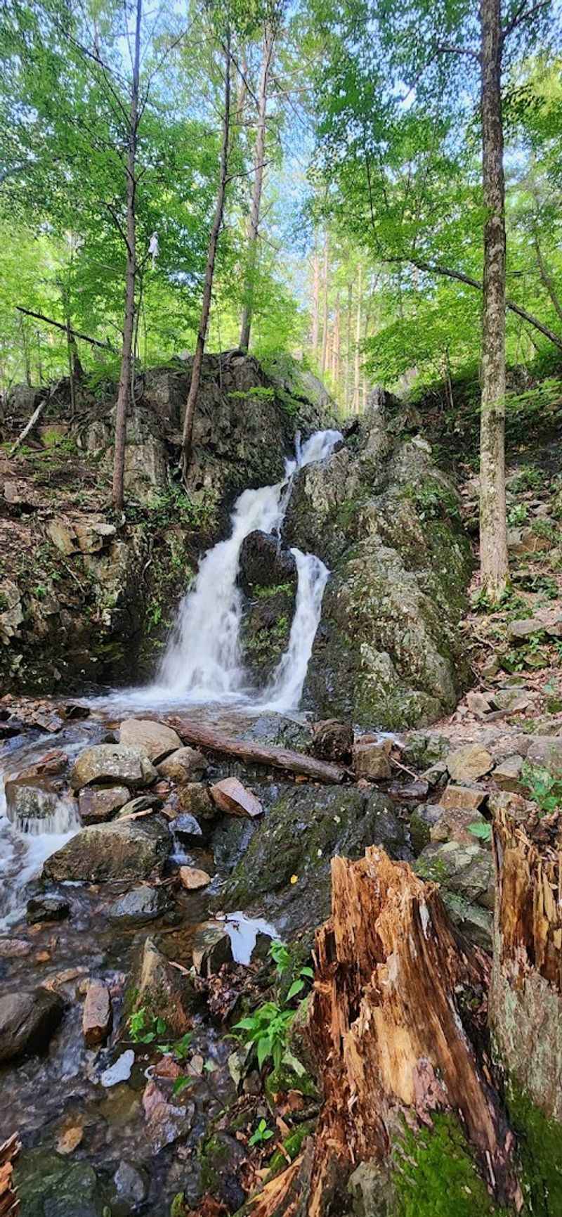 Fitzgerald Falls