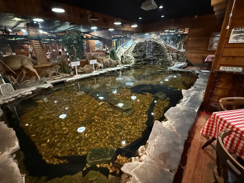 The 3,000-Gallon Indoor Catfish Pond With A Waterfall