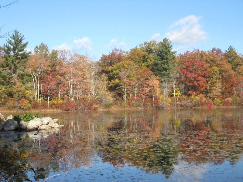 Why Fall Is The Best Time To Visit