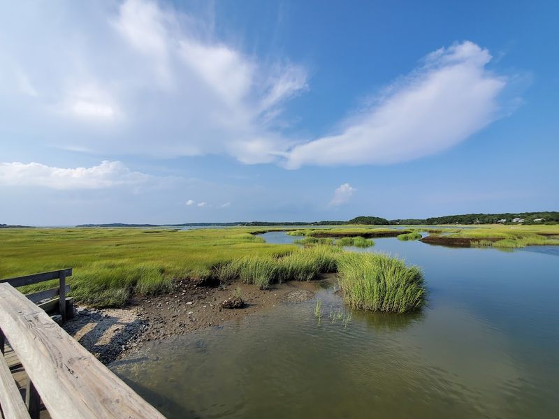 Mass Audubon Wellfleet Bay Wildlife Sanctuary And The Birds That Pass Through