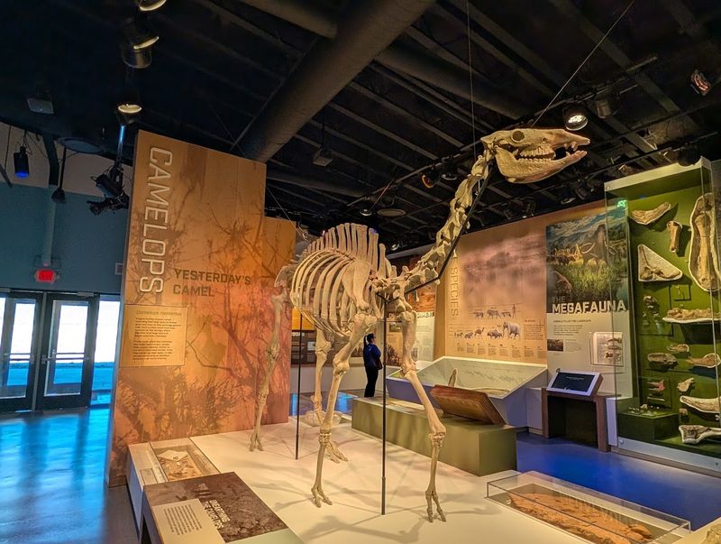 Its Visitor Centre Displays Tule Springs Fossils