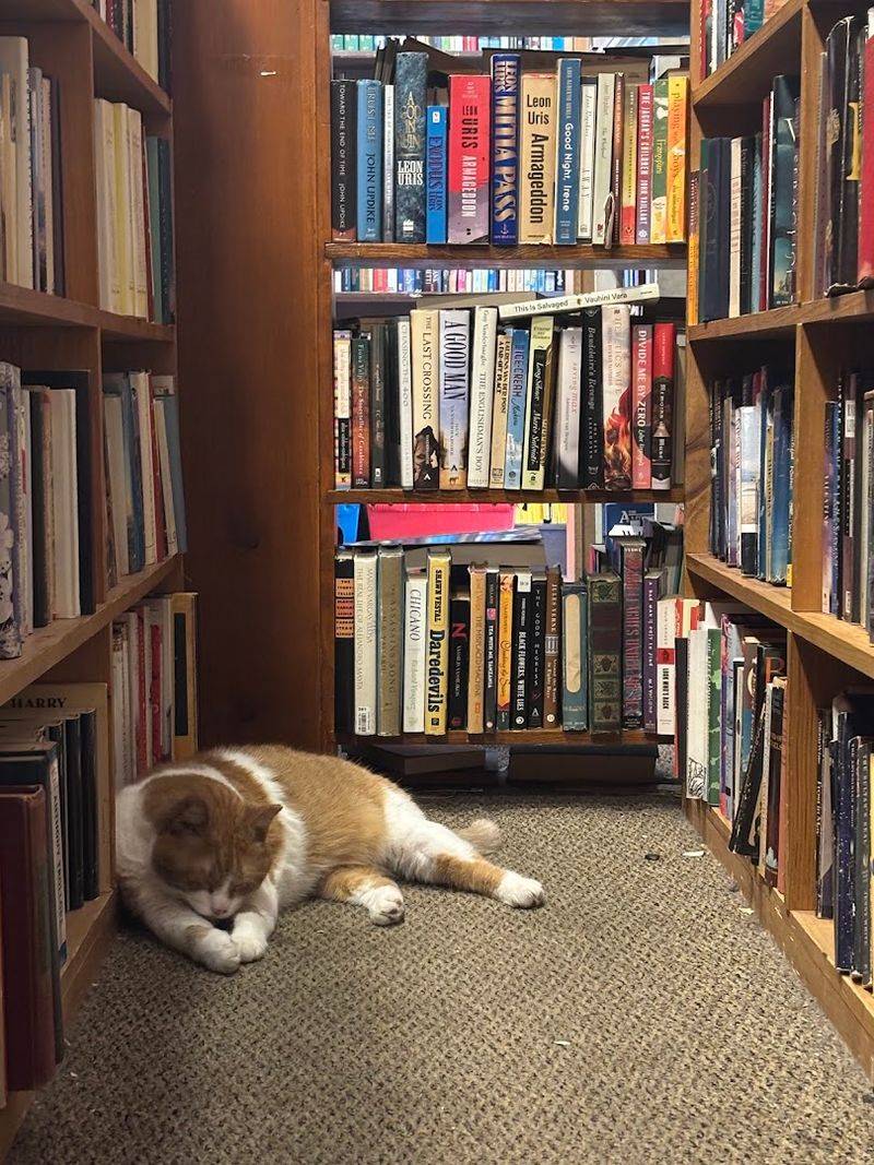 The Book Trader