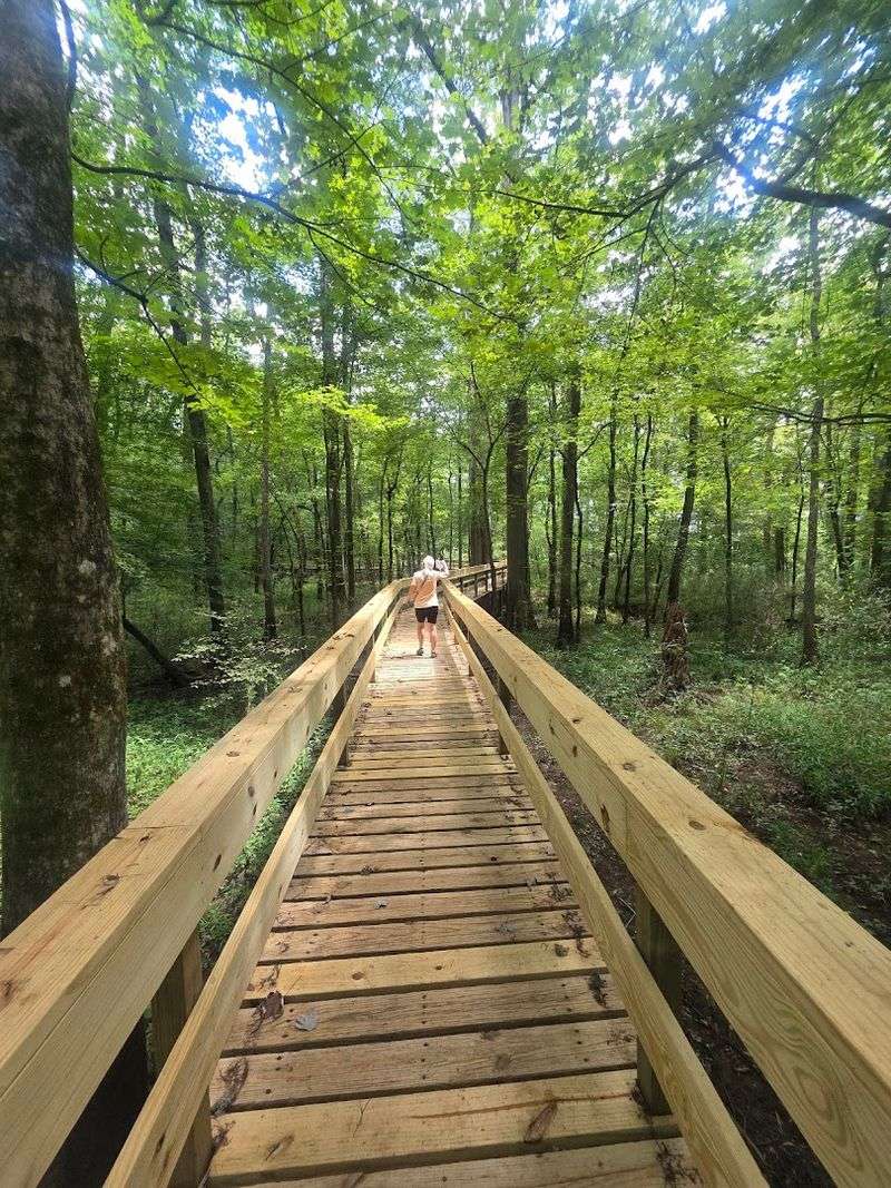 Over 1,200 Acres Of Trails Worth Exploring