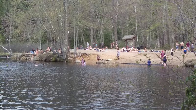 Swimming In Clean, Cool Water All Summer Long