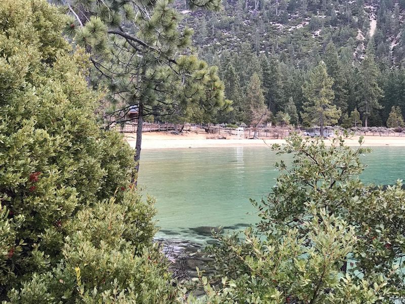 Picnic Areas Sit Under Pines And Cedars