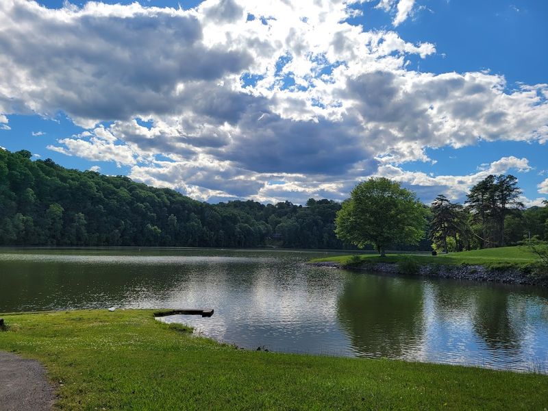 Kingston City Park And The Simple Pleasure Of Open Green Space