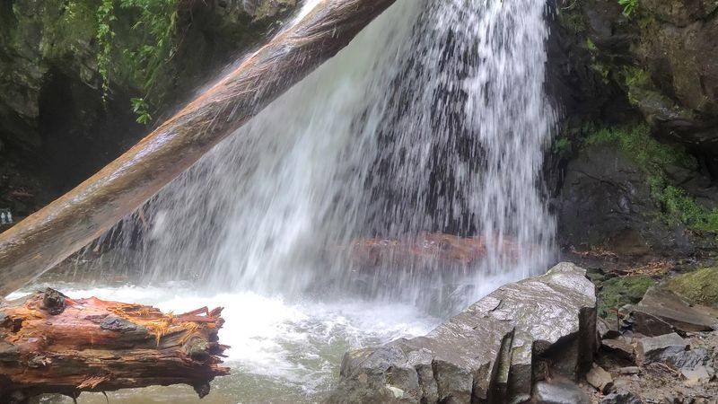 How To Reach The Trailhead Without The Parking Headache