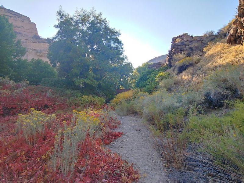 There Are Around Fourteen Miles Of Hiking And Biking Trails