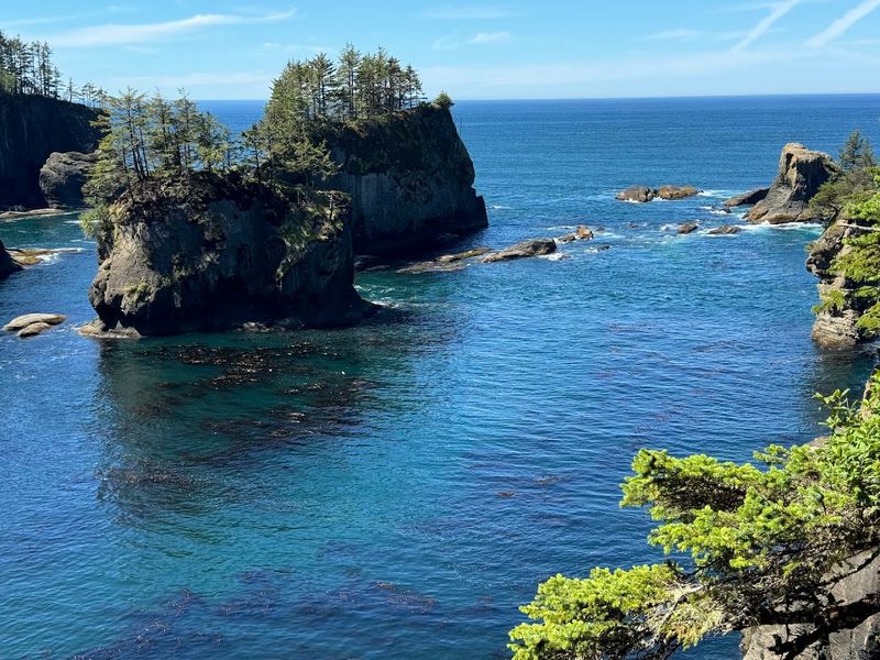 Unique Marine Wildlife In The Region