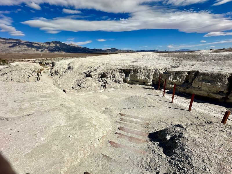 Ancient Camels, Horses, Bison, And Dire Wolves Lived Here