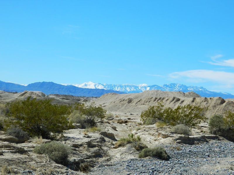 The Area Was Once A Wetland