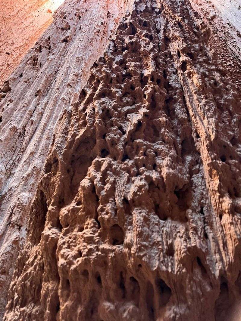 Sunrise And Sunset Bring Out The Best In The Canyon Walls