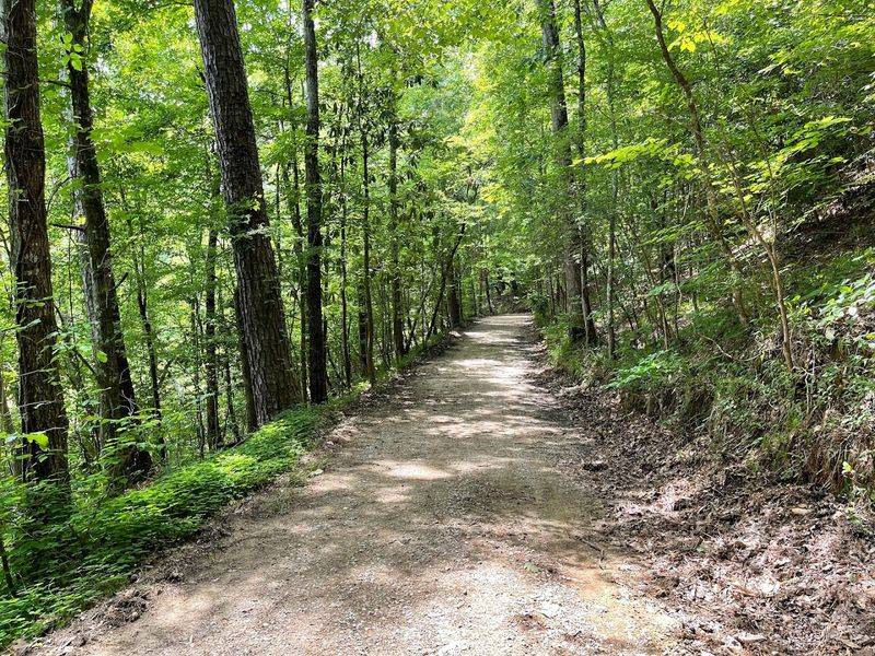 Trails That Reward Every Type Of Hiker