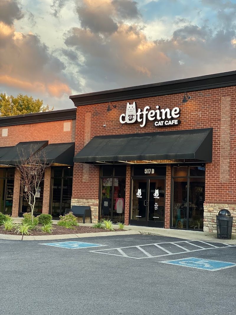 What The Coffee Experience Actually Looks Like