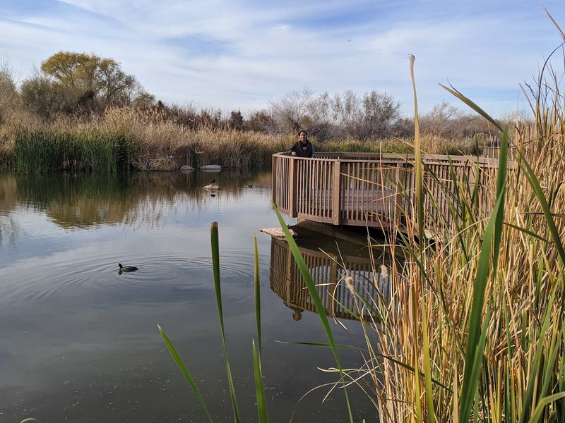 Ponds Add A Scenic Surprise To The Short Walk