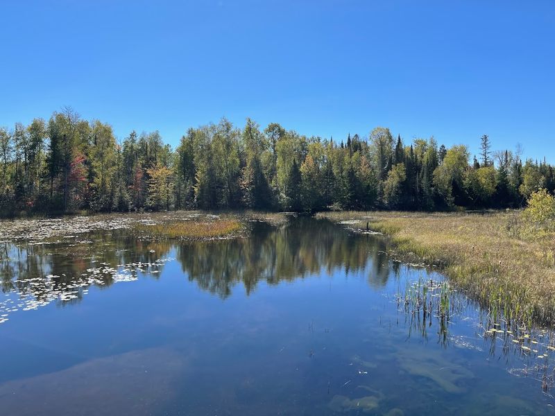 Forests, Wetlands, Prairies, And Glacial Lakes Keep The Scenery Changing