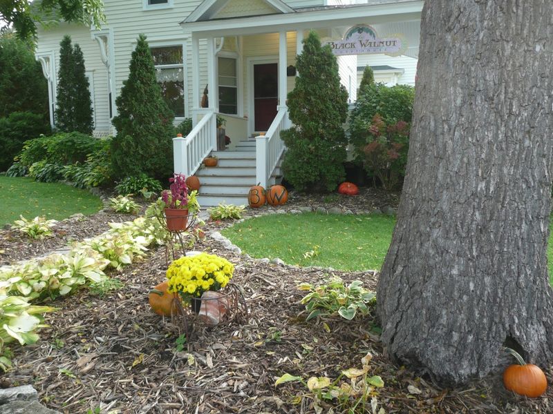 Black Walnut Guest House Bed & Breakfast, Sturgeon Bay
