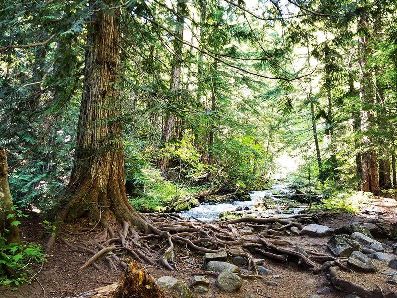 The Hikers Who Will Love This Route