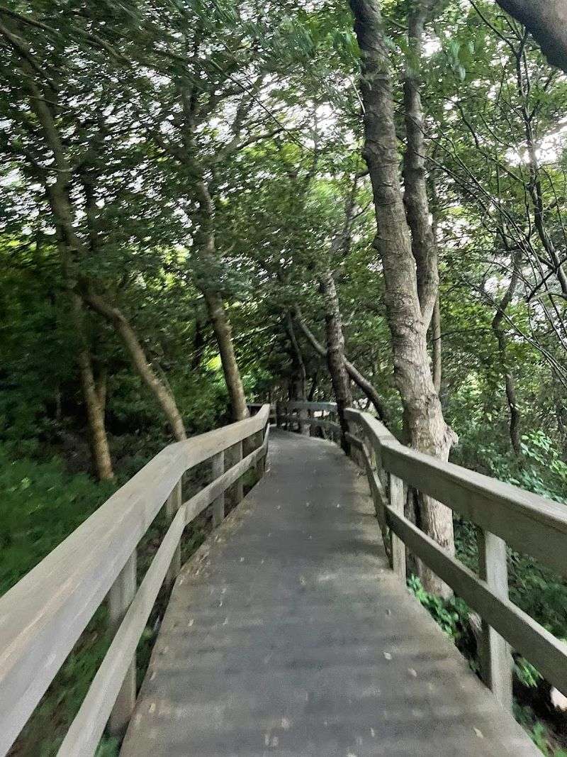 Rare Plants And Wildlife That Call This Place Home