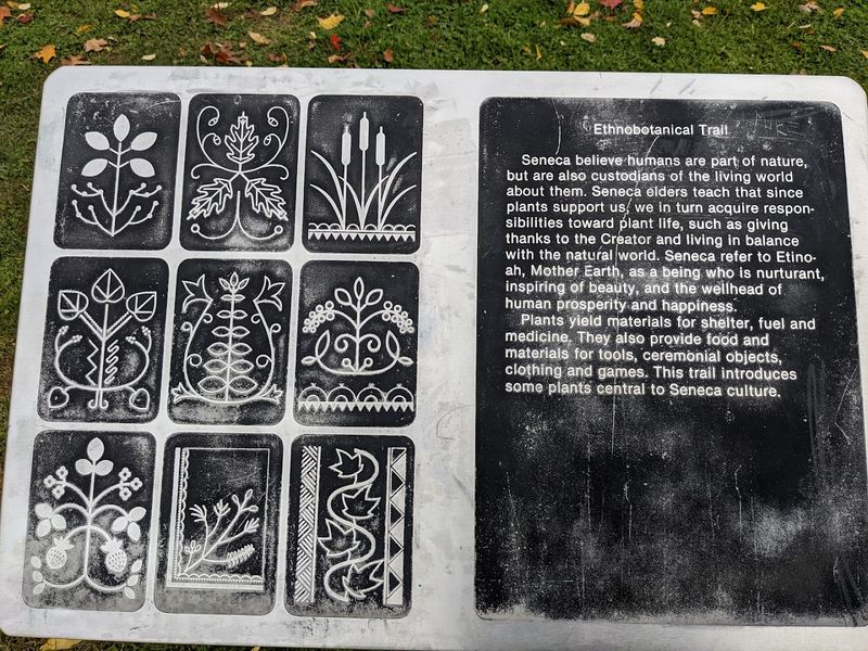 Earth Is Our Mother Trail And The Science Of Seneca Plant Knowledge