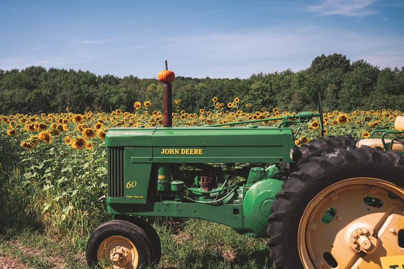 A Fourth-Generation Farm With Real Roots In The Community