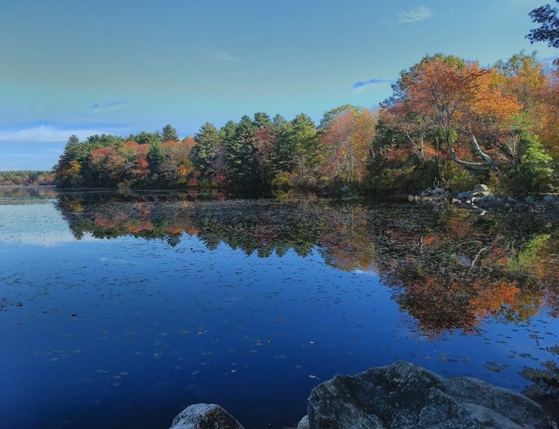Fall Foliage And Seasonal Beauty That Transforms The Entire Park