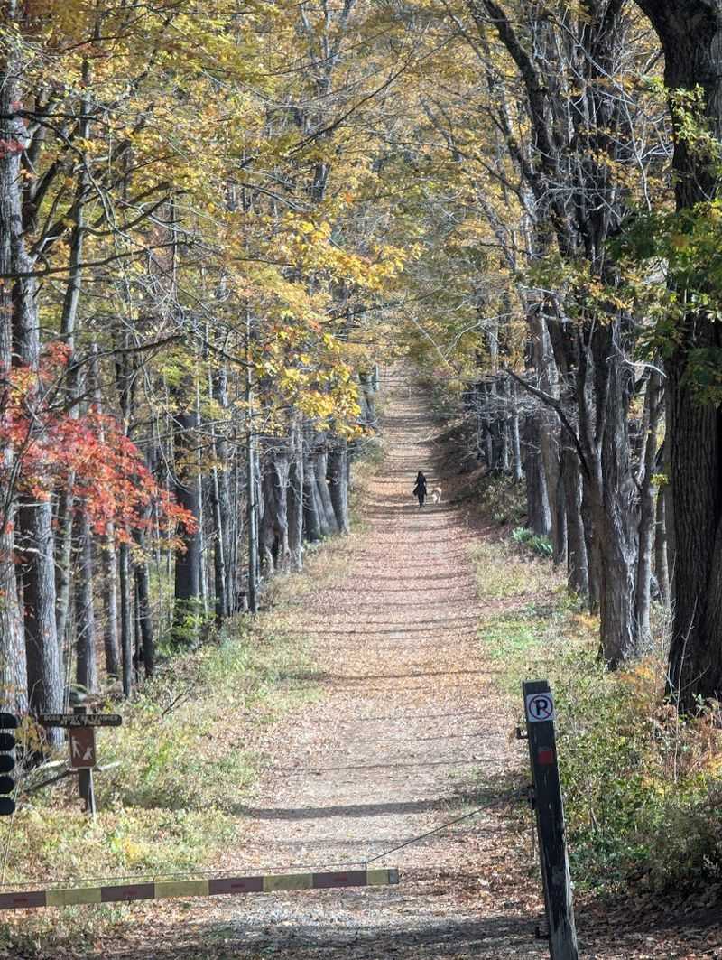 Hiking Trails For Every Skill Level And Every Mood