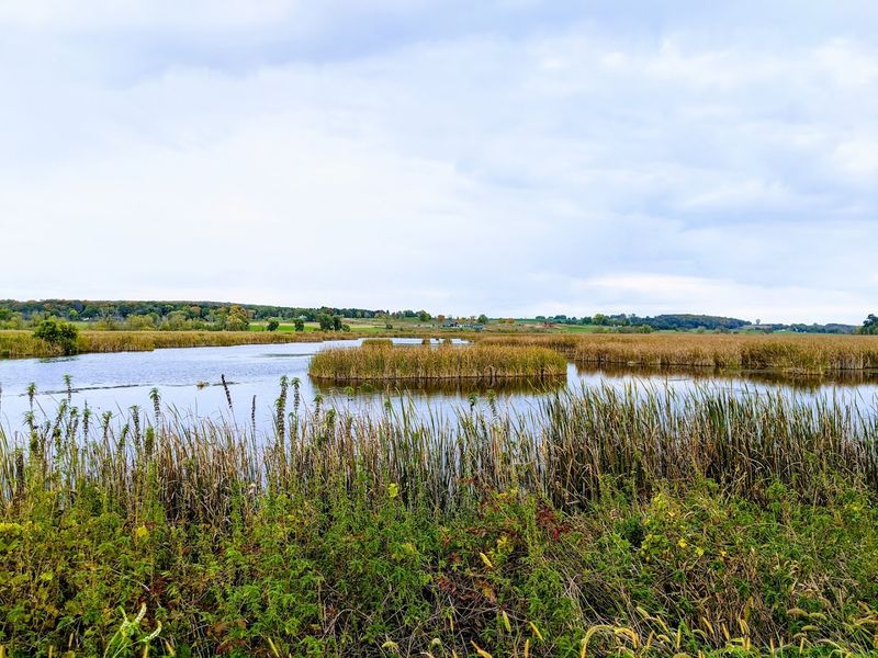 It Is Part Of One Of America's Largest Freshwater Marshes