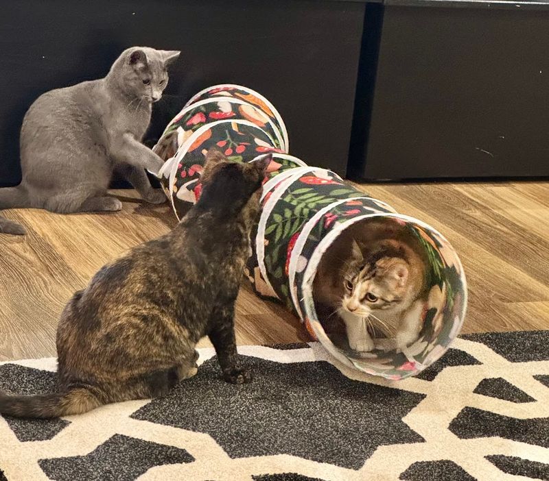 The Rescue Mission That Powers Everything