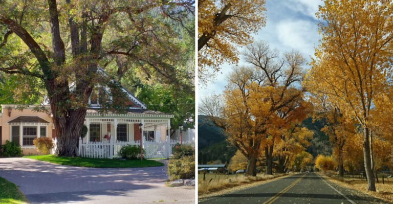 The Storybook Nevada Town That Makes A Weekend Getaway Feel Extra Special