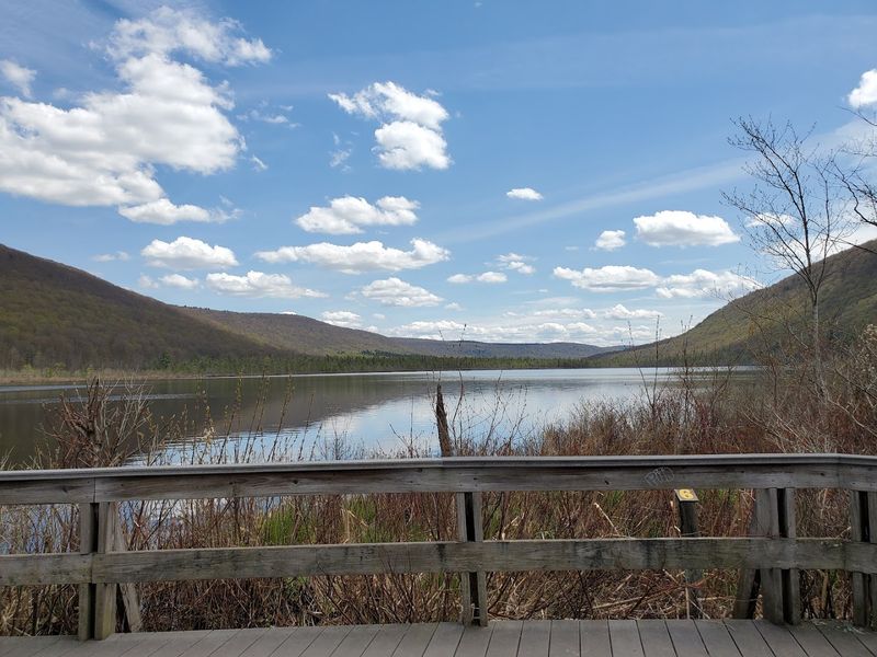 A Boardwalk Unlike Anything You Have Walked Before